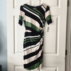 ROZ & ALI Striped Black and Green Dress